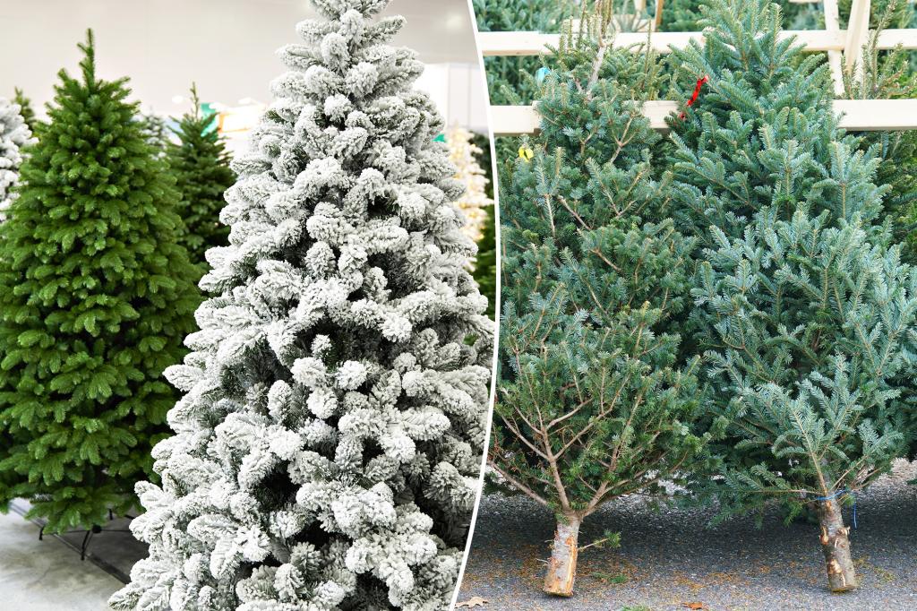 Real vs. Fake Christmas trees: Experts debate which is better for the environment